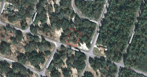 00 Fisher Trce, Ocklawaha, FL 32179