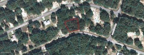 00 Fisher Way Loop, Ocklawaha, FL 32179