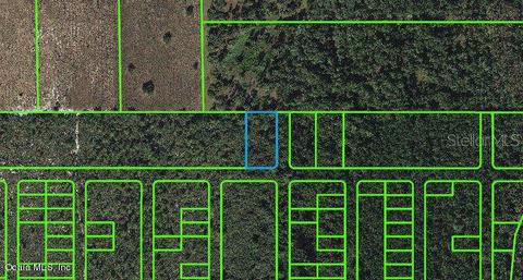 1512 Ponce De Leon St, Lake Placid, FL 33852
