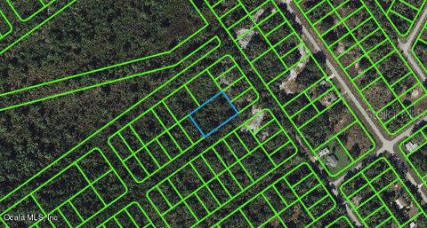 1234 Haviland St, Lake Placid, FL 33852