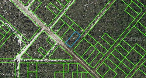 543 Nichele Blvd, Lake Placid, FL 33852