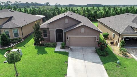9193 SW 70th Loop, Ocala, FL 34481 photo 1