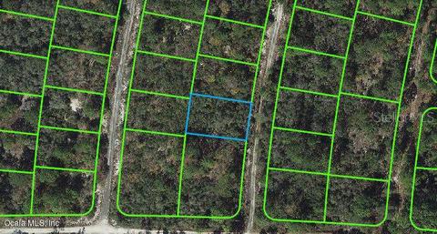 308 Imagination Dr, Lake Placid, FL 33852