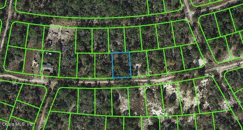 368 Hossler Ave, Lake Placid, FL 33852