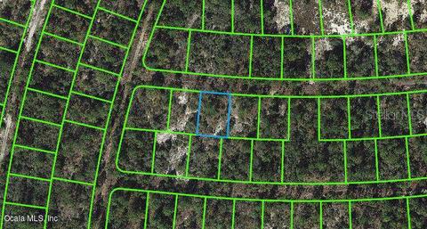 353 Whispering Ave, Lake Placid, FL 33852