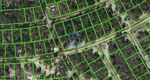 382 Hossler Ave, Lake Placid, FL 33852