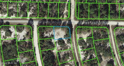 379 Jack Weisser Blvd, Lake Placid, FL 33852