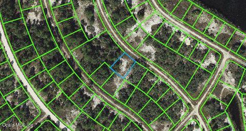 354 Cinema Dr, Lake Placid, FL 33852