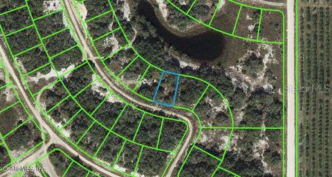 211 Dargen Dr, Lake Placid, FL 33852