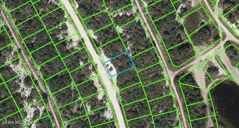 217 Hopedale Dr, Lake Placid, FL 33852