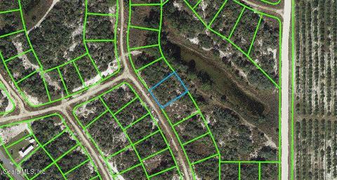 119 Summer Oak Dr, Lake Placid, FL 33852