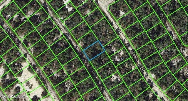 525 Dreamland Dr, Lake Placid, FL 33852