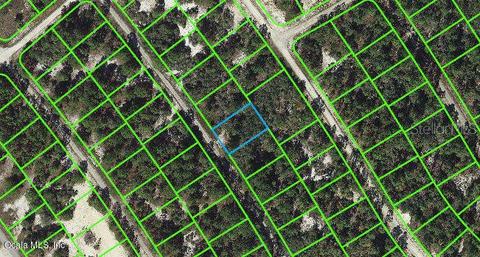 527 Dreamland Dr, Lake Placid, FL 33852