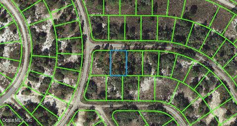 403 Hollow Ln, Lake Placid, FL 33852