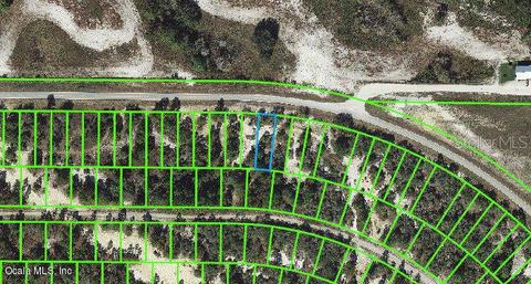 733 Cr 29, Lake Placid, FL 33852