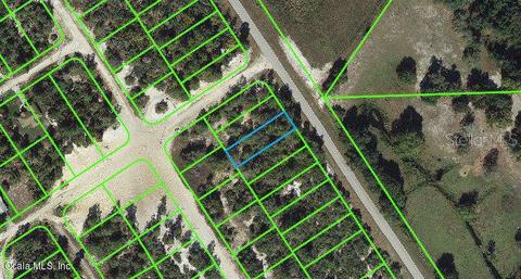 1021 Cr 29, Lake Placid, FL 33852