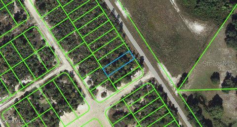 1011 Cr 29, Lake Placid, FL 33852
