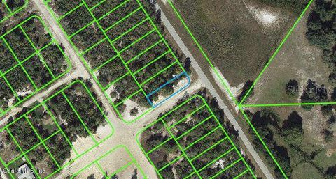 1015 Cr 29, Lake Placid, FL 33852