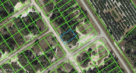 616 Morningside Dr, Lake Placid, FL 33852