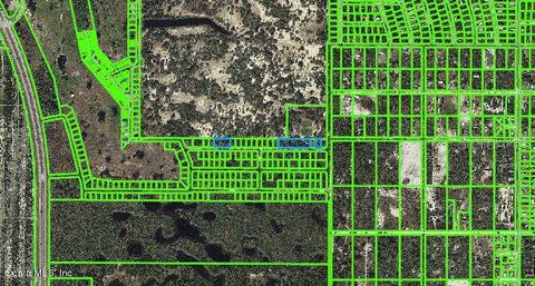 220 Rolling Hills Dr, Lake Placid, FL 33852