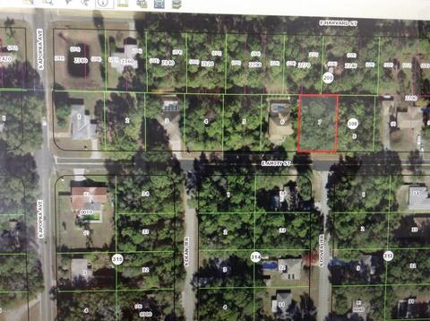 6397 E Amity St, Inverness, FL 34452