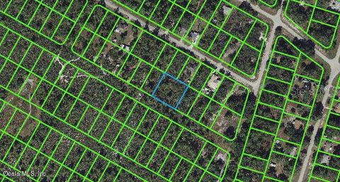 1056 Freehill Ave, Lake Placid, FL 33852