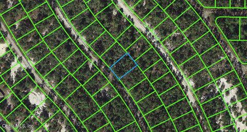 507 Dreamland Dr, Lake Placid, FL 33852