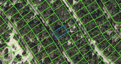 523 Dreamland Dr, Lake Placid, FL 33852