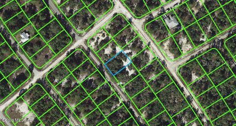 535 Dreamland Dr, Lake Placid, FL 33852