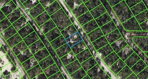 520 Summer Hill Dr, Lake Placid, FL 33852