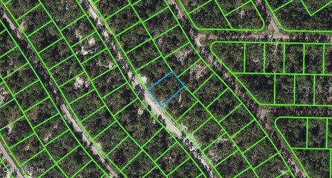 513 Summer Hill Dr, Lake Placid, FL 33852