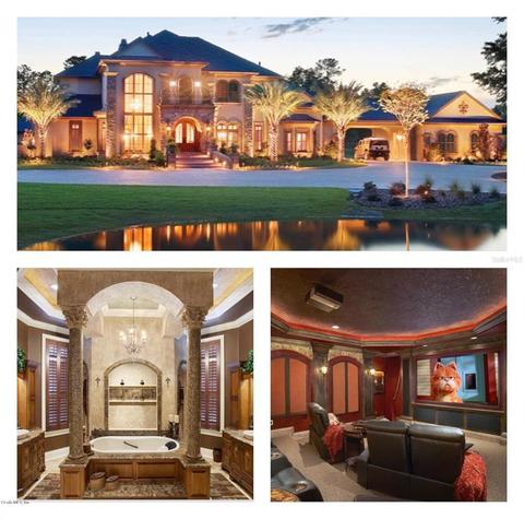 1736 SE 47th Ave, Ocala, FL 34471 photo 1