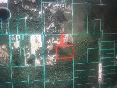 00 NE 220th St, Fort Mc Coy, FL 32134