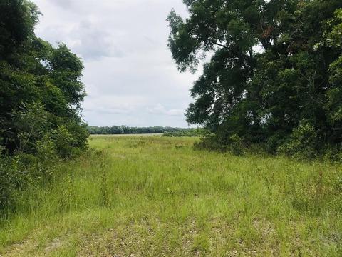 750 NE 170th Ave, Williston, FL 32696 photo 1