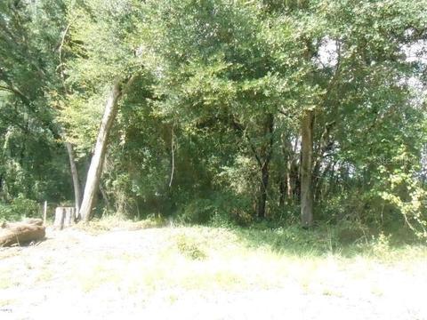00 SE 136th St, Belleview, FL 34420