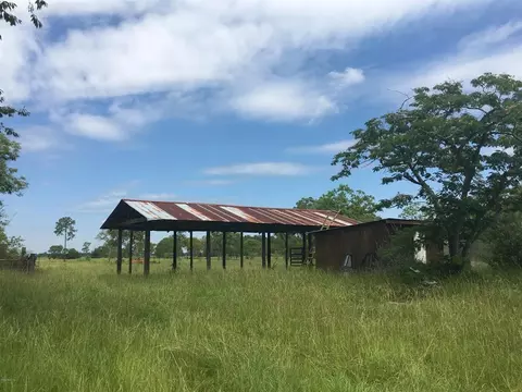 3250 NE 127th Ct, Williston, FL 32696 photo 1