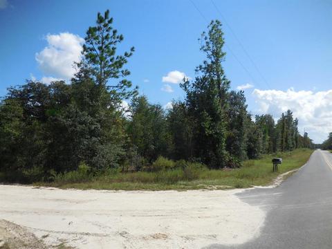 6451 NE 126th Ave, Williston, FL 32696 photo 1