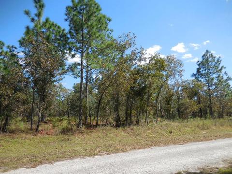 351 NE 131st Ave, Williston, FL 32696 photo 1