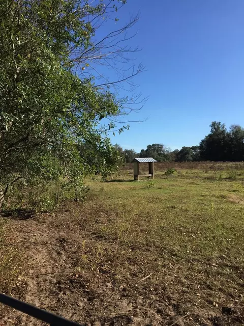 7237 NE 33rd Ct, Anthony, FL 32617 photo 8