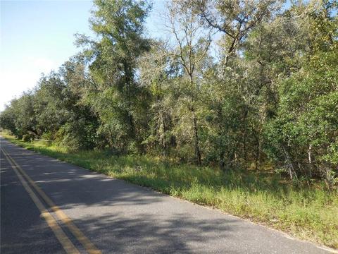 6950 NE 126th Ave, Williston, FL 32696 photo 1