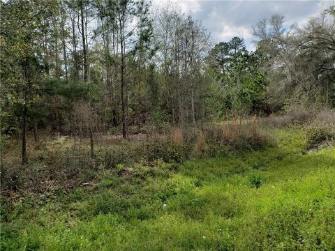 17800 N Highway 329, Reddick, FL 32686 photo 1