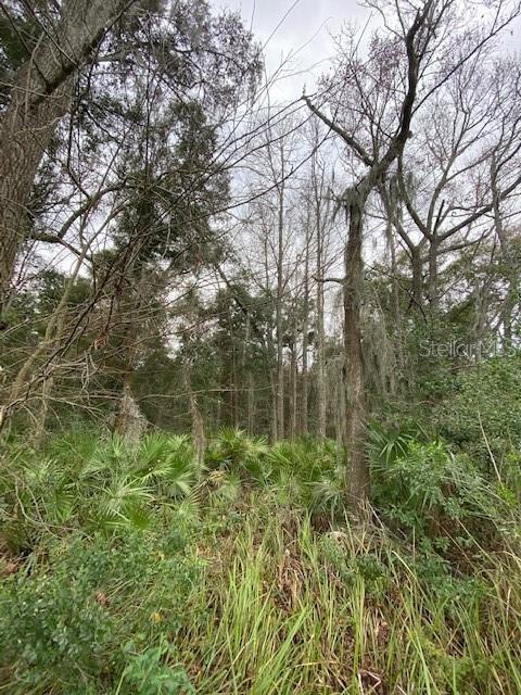 2440 N Pine Ave, Ocala, FL 34475 photo 1