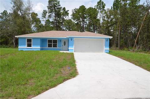213 Locust Pass Loop, Ocala, FL 34472 photo 1
