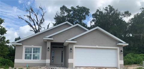 163 NW 45th Loop, Ocala, FL 34475 photo 1