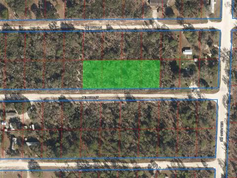 11911 NE 65th St, Williston, FL 32696 photo 1