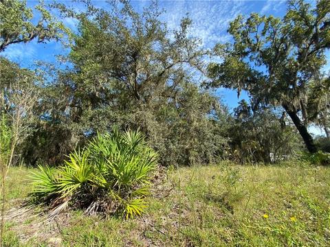 11117 NE 64th Pl, Williston, FL 32696 photo 1