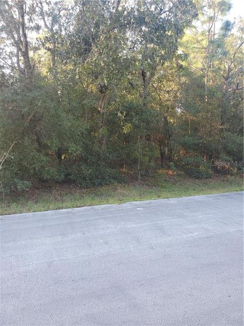 10 Spring Lane Way, Ocala, FL 34472 photo 1
