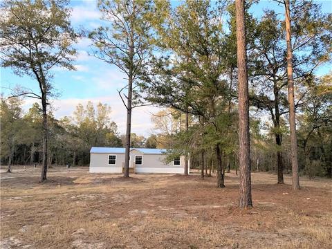 10091 NE 77th Pl, Bronson, FL 32621 photo 1
