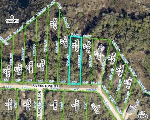 34157 Riverstone St, Webster, FL 33597 photo 1
