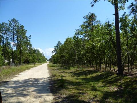 350 NE 137th Ave, Williston, FL 32696 photo 1